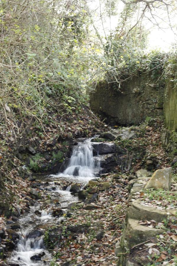 Ribeira Dos Marinheiros Amarelo Daire Sintra Dış mekan fotoğraf